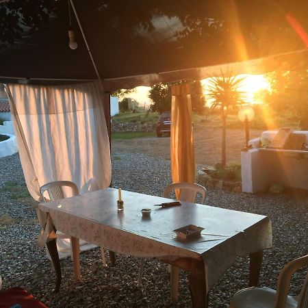 Casa Vacanza Tertenìa 外观 照片